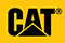 Caterpillar