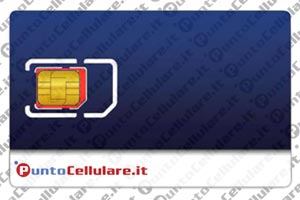 Mini SIM 128K